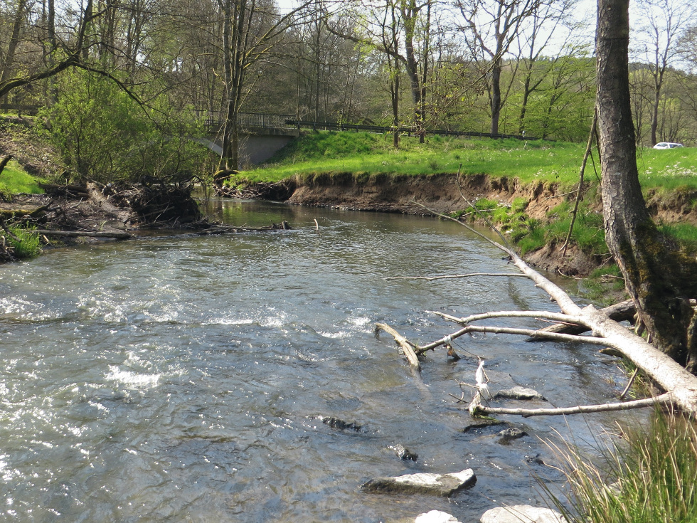 Gewässerunterhaltung: Ein Uferabriss wie hier rechts im Bild ist Teil der natürlichen Dynamik und muss keineswegs „unterbunden“ werden. Foto: Thomas Meuer