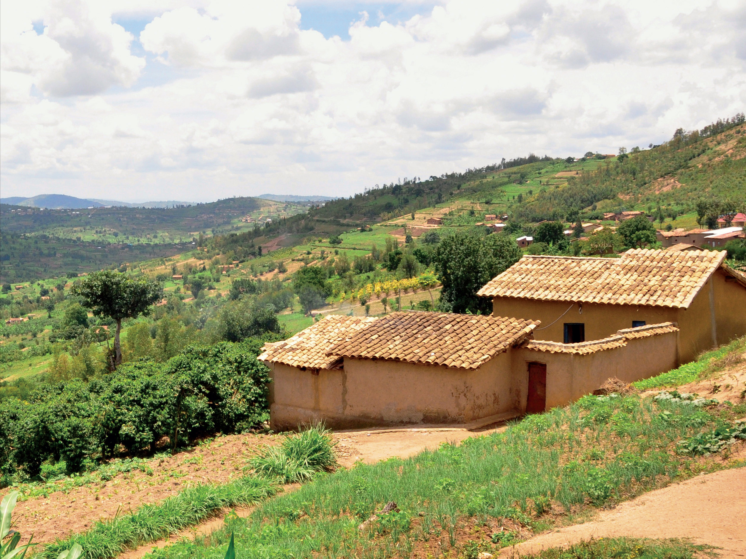 Landschaft mit Haus im Süden Ruandas.