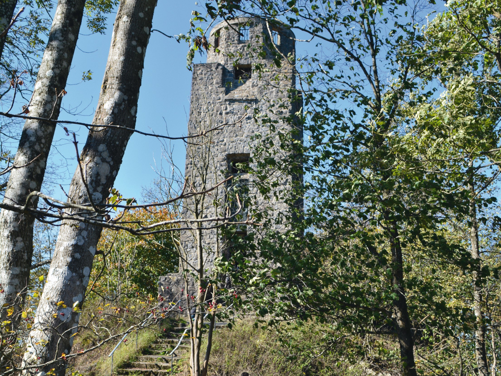 Die Hohe Acht bei Adenau ist mit 746,9 m ü. NHN der höchste Berg der Eifel. Auf dem bewaldeten Berg steht der Kaiser-Wilhelm-Turm.