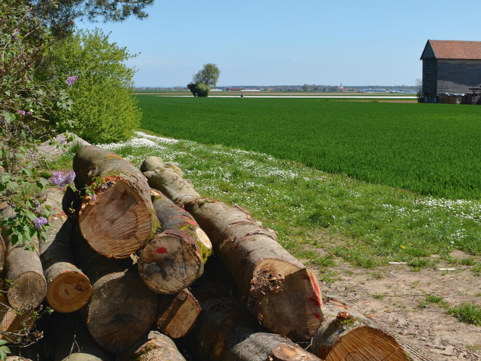Ein Tabakspeicher bei Hatzenbühl – Deutschlands ältester Tabakanbauort (Verbandsgemeinde Jockgrim).