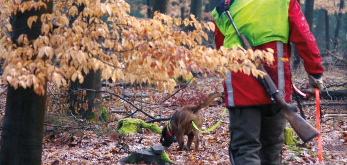 Das Foto zeigt die Rückansicht eines Jägers und seines Hundes im Wald.
