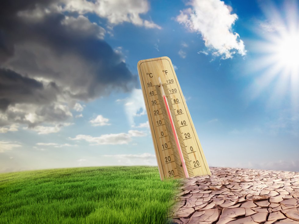 © jozsitoeroe / Fotolia.com