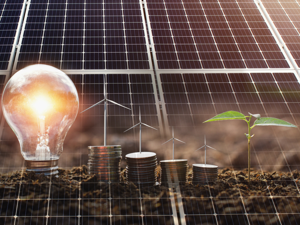 © lovelyday12 / stock.adobe.com