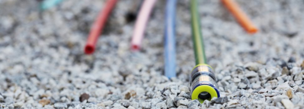 © RioPatuca Images – Fotolia.com