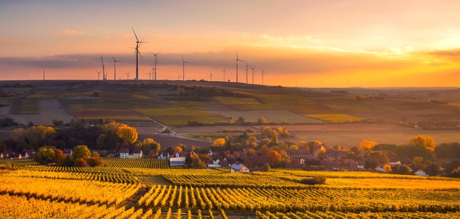 Eine von Weinreben und Windrädern geprägte Landschaft mit Dorf