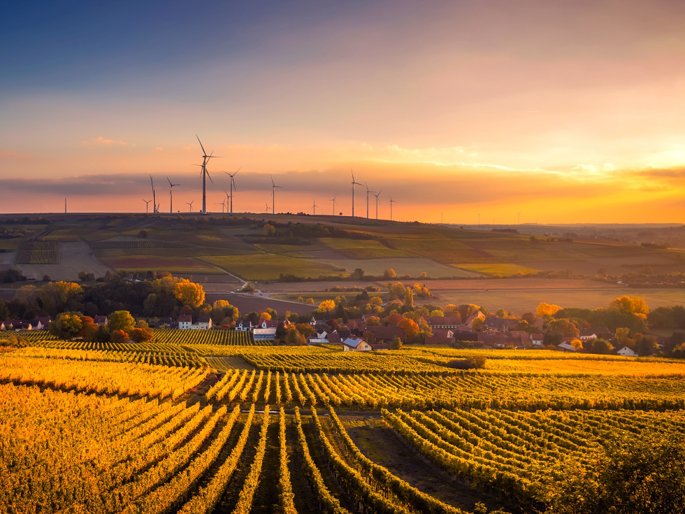 Eine von Weinreben und Windrädern geprägte Landschaft mit Dorf