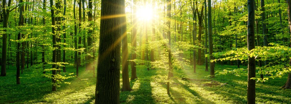 © John Smith - Fotolia.com