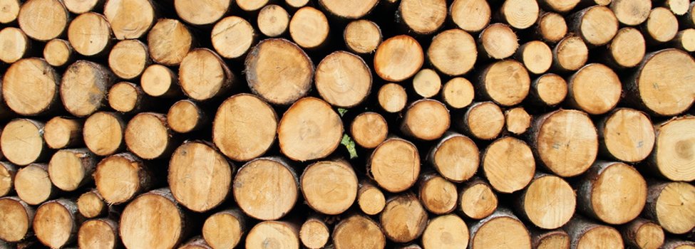 © maho – Fotolia.com