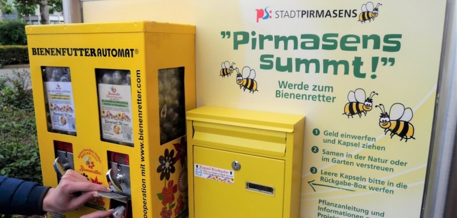 Im Herzen der Stadt: Vor dem Rathaus gibt es Blumensamen aus dem umgerüsteten Kaugummi-Automaten; der Briefkasten daneben nimmt nach der Aussaat die leeren Kapseln wieder auf, damit kein Plastikmüll anfällt.    Bild: Stadt Primasens