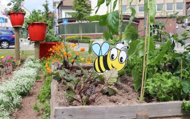 Die Biene soll möglichst viele Nektar-Tankstellen in der Stadt vorfinden, wünscht sich Grün-Dezernent Michael Maas.   Bild: Stadt Pirmasens