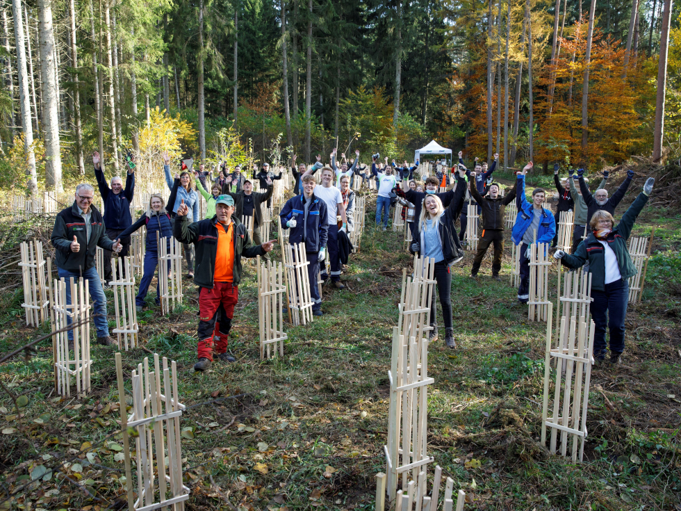 Die Belegschaft macht mit: Forstwirte und Mitarbeitende der Stadtwerke Kaiserkautern (SWK) haben 500 neue Bäume im SWK-Klimawald vor Verbiss gesichert. Im SWK-Klimawald wurden 400 Stieleichen und 100 Hainbuchen gepflanzt. Die Pflanzaktion ist Teil des Nachhaltigkeitskonzeptes der SWK.