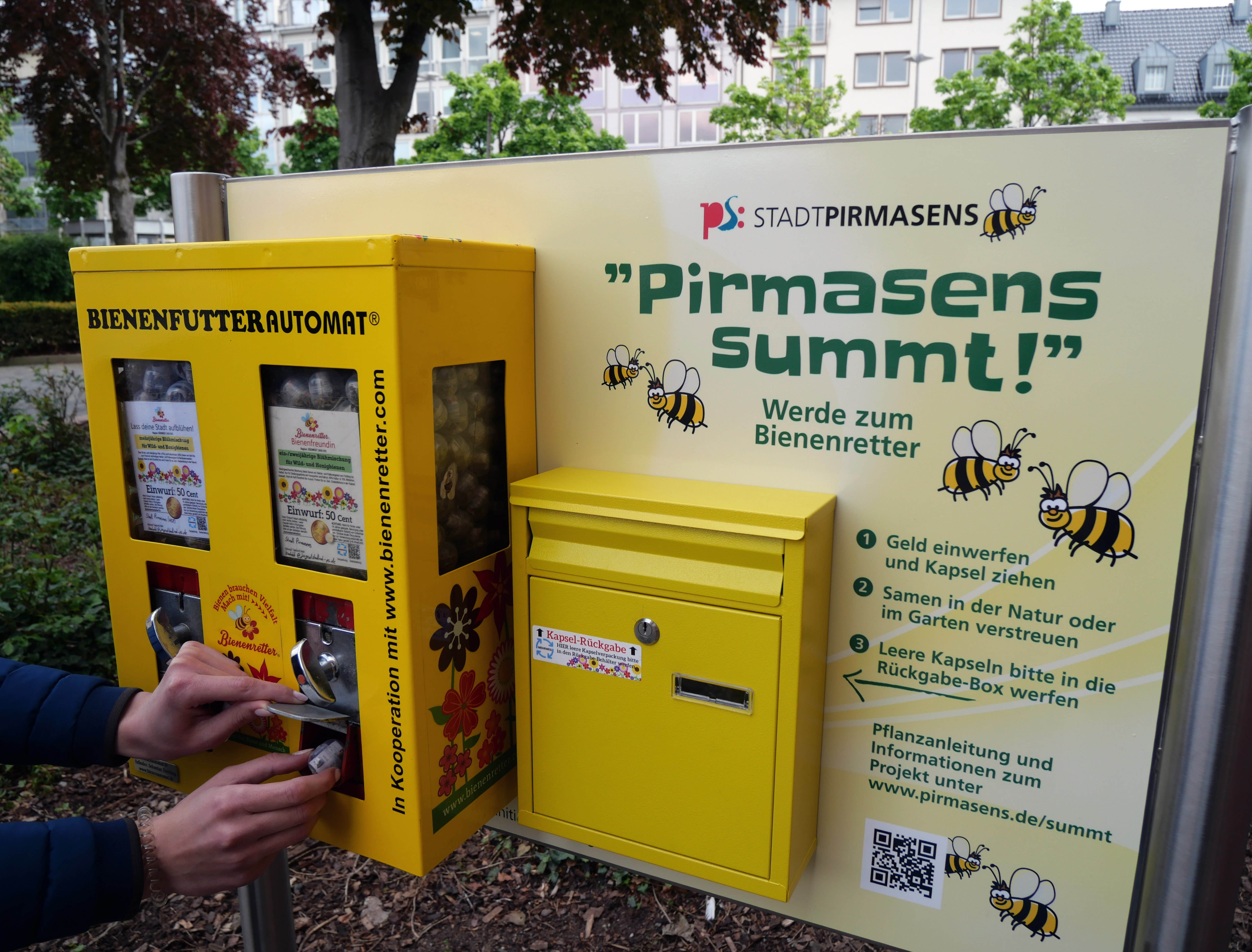 Der Bienenfutter-Automat auf dem Pirmasenser Exerzierplatz. Eine Person zieht eine Kapsel mit Bienenfutter an einem gelben Automaten, der an einer Infotafel hängt, auf der "Pirmasens summt!" und Informationen zur Nutzung stehen. Rechts neben dem Automaten hängt ein gelber Briefkasten für die Rückgabe der Kapseln.