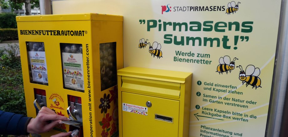 Eine Person zieht eine Kapsel mit Bienenfutter an einem gelben Automaten, der an einer Infotafel hängt, auf der "Pirmasens summt!" und Informationen zur Nutzung stehen. Rechts neben dem Automaten hängt ein gelber Briefkasten für die Rückgabe der Kapseln.