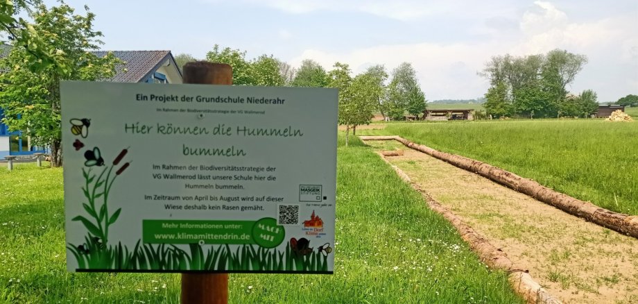 Alle Schulen des Gemeindegebiets nehmen an der Biodiversitätsstrategie teil, sodass an jeder Schule nun die Hummeln bummeln können