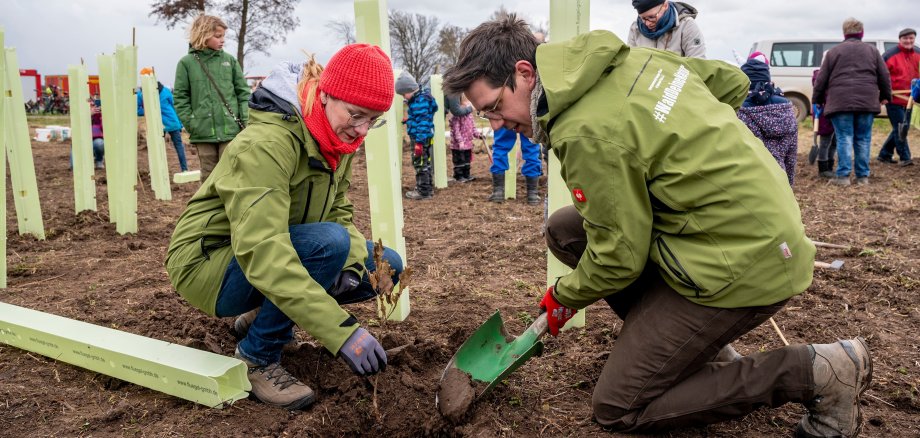 Das Foto zeigt zwei Personen, die einen Baum pflanzen. Im Hintergrund helfen zahlreiche Freiwillige.