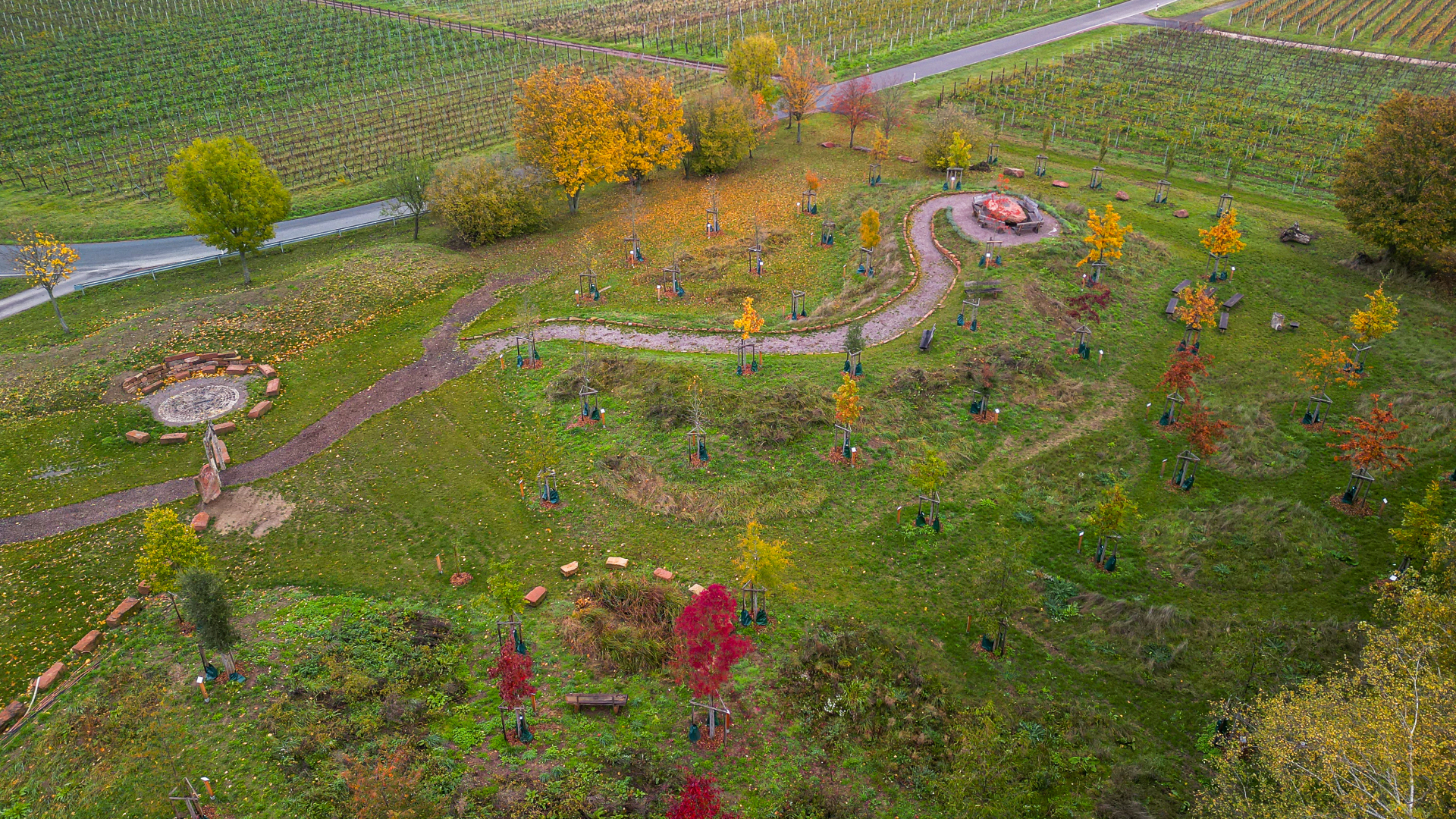 Blick von oben auf den "Platz der Begegnung, der Ökologie und der Zukunft", ein begrüntes Grundstück mit neu gepflanzten Bäumen, umgeben von Weinreben.