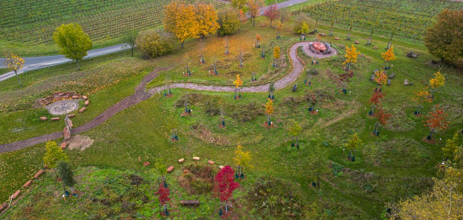 Blick von oben auf den "Platz der Begegnung, der Ökologie und der Zukunft", ein begrüntes Grundstück mit neu gepflanzten Bäumen, umgeben von Weinreben.