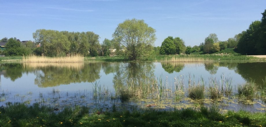 Die Mühlbachaue in der Ortsgemeinde Saulheim.