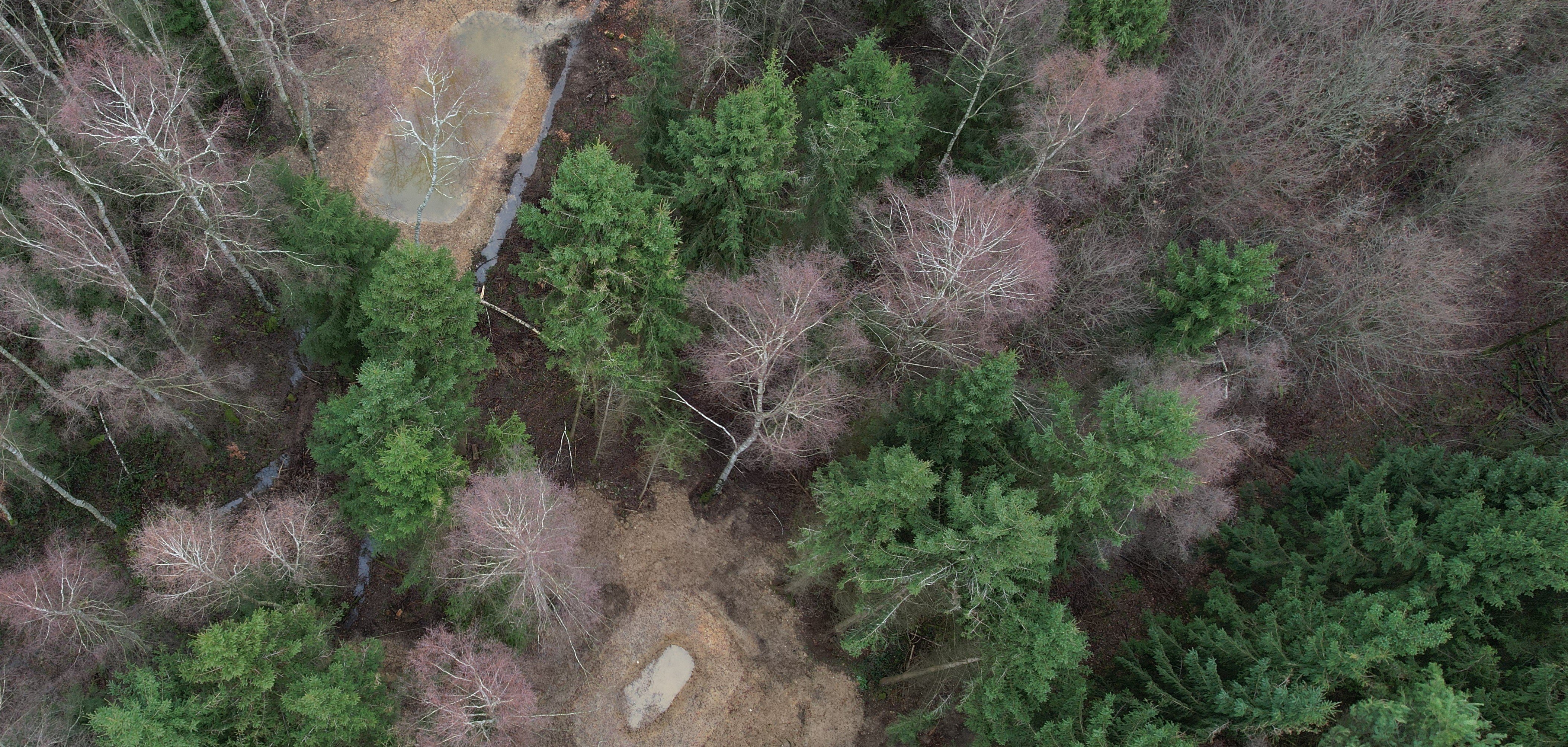 Teiche unterschiedlicher Größe – hier dokumentiert per Drohne bei Bell im Hunsrück – bilden wertvolle Lebensräume und helfen zugleich, Wasser im Wald zu speichern. Das Bild zeigt eine Luftaufnahme zweier unterschiedlich großer Teiche in einem Wald bei Bell im Hunsrück.
